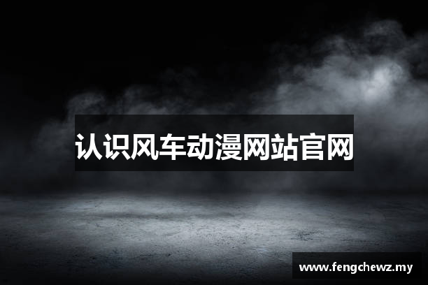 认识风车动漫网站官网